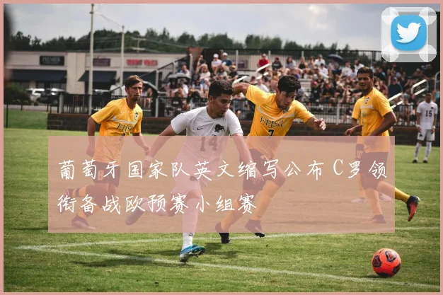 葡萄牙国家队英文缩写公布 C罗领衔备战欧预赛小组赛