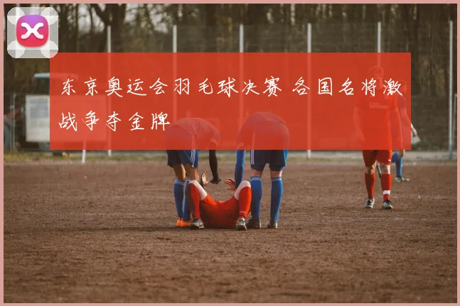 东京奥运会羽毛球决赛 各国名将激战争夺金牌