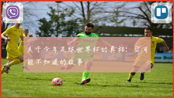关于今年足球世界杯的真相:你可能不知道的故事